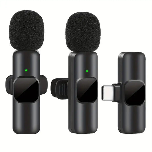 Mini Microphone(s)